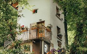 Il Roccolino